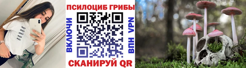 omg ТОР  наркотики  Сосенский  Галлюциногенные грибы Magic Shrooms 